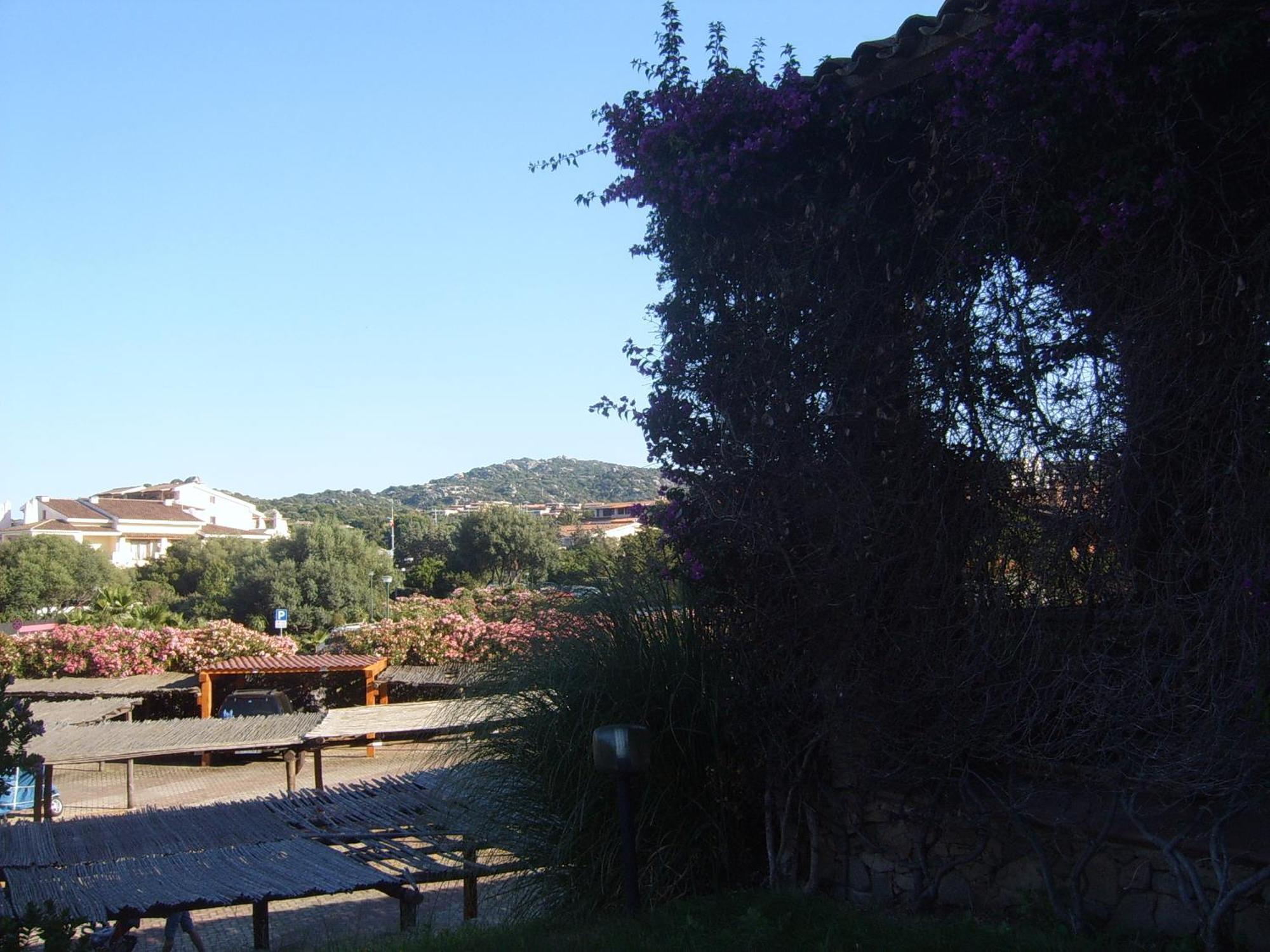 Sole&Luna Apartments Porto Rotondo Zimmer foto